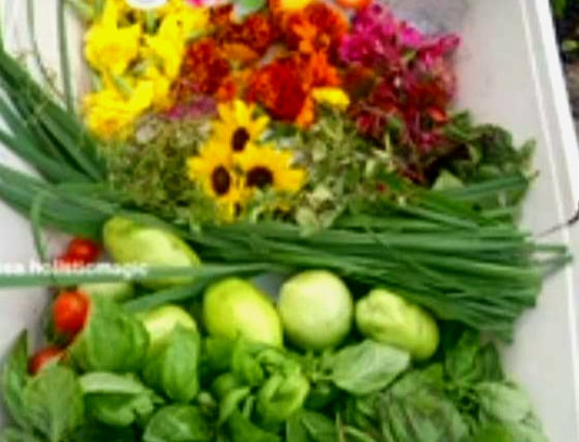 Gardening on a budget class for up to 15 participants
