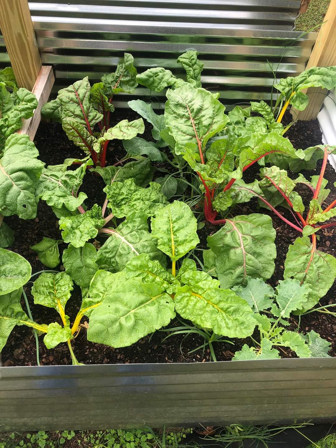 Gardening on a budget class for up to 15 participants